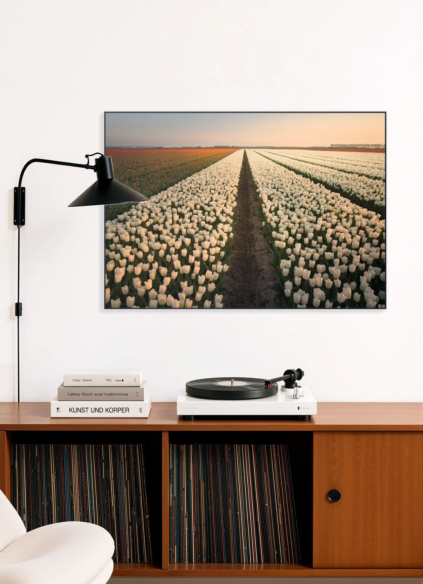 Dutch Tulip Sunset