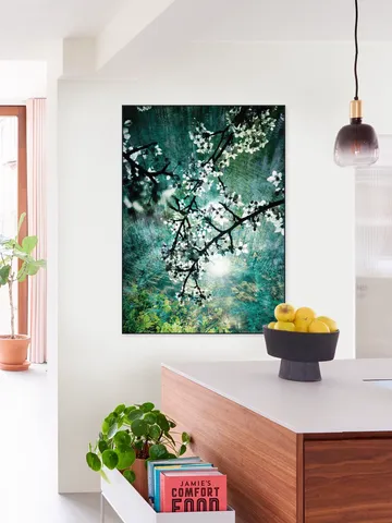 Blooms over Water