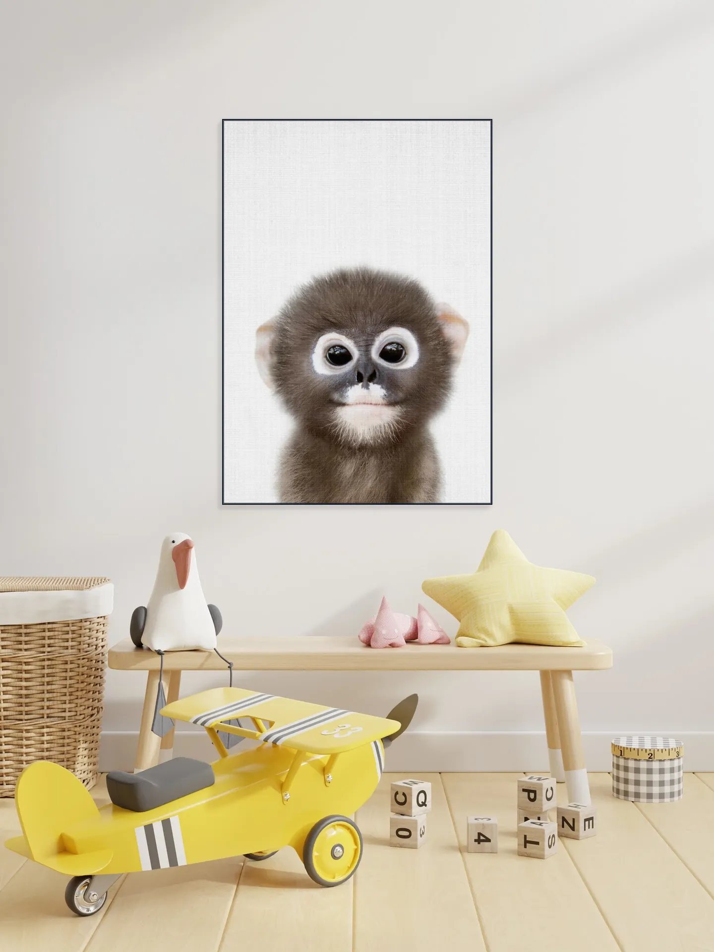 Baby Monkey