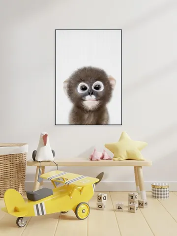 Baby Monkey