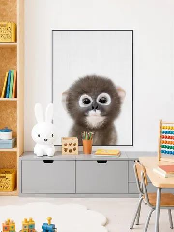 Baby Monkey