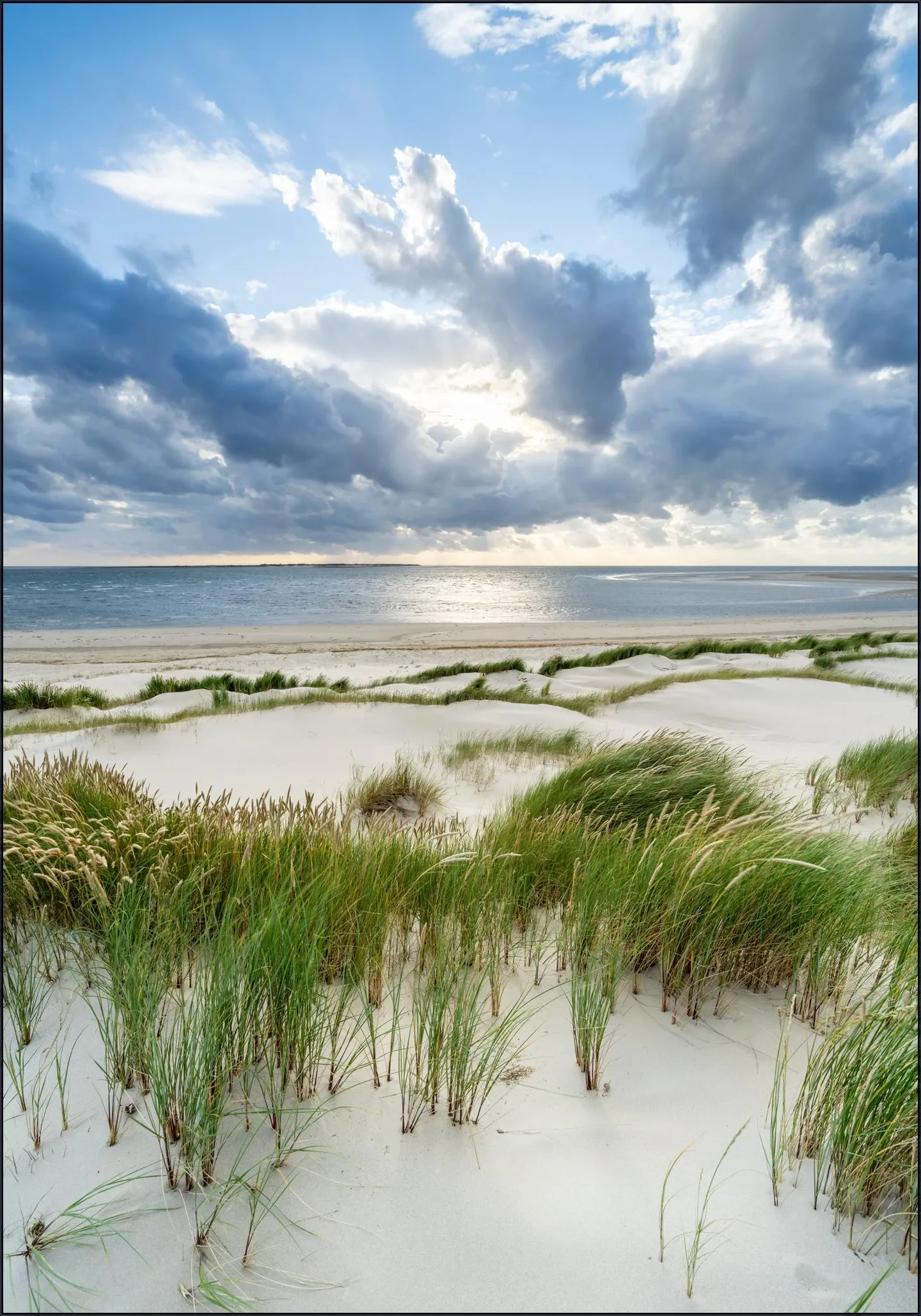 Stormy weather at the dune beach