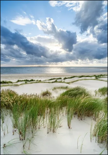 Stormy weather at the dune beach