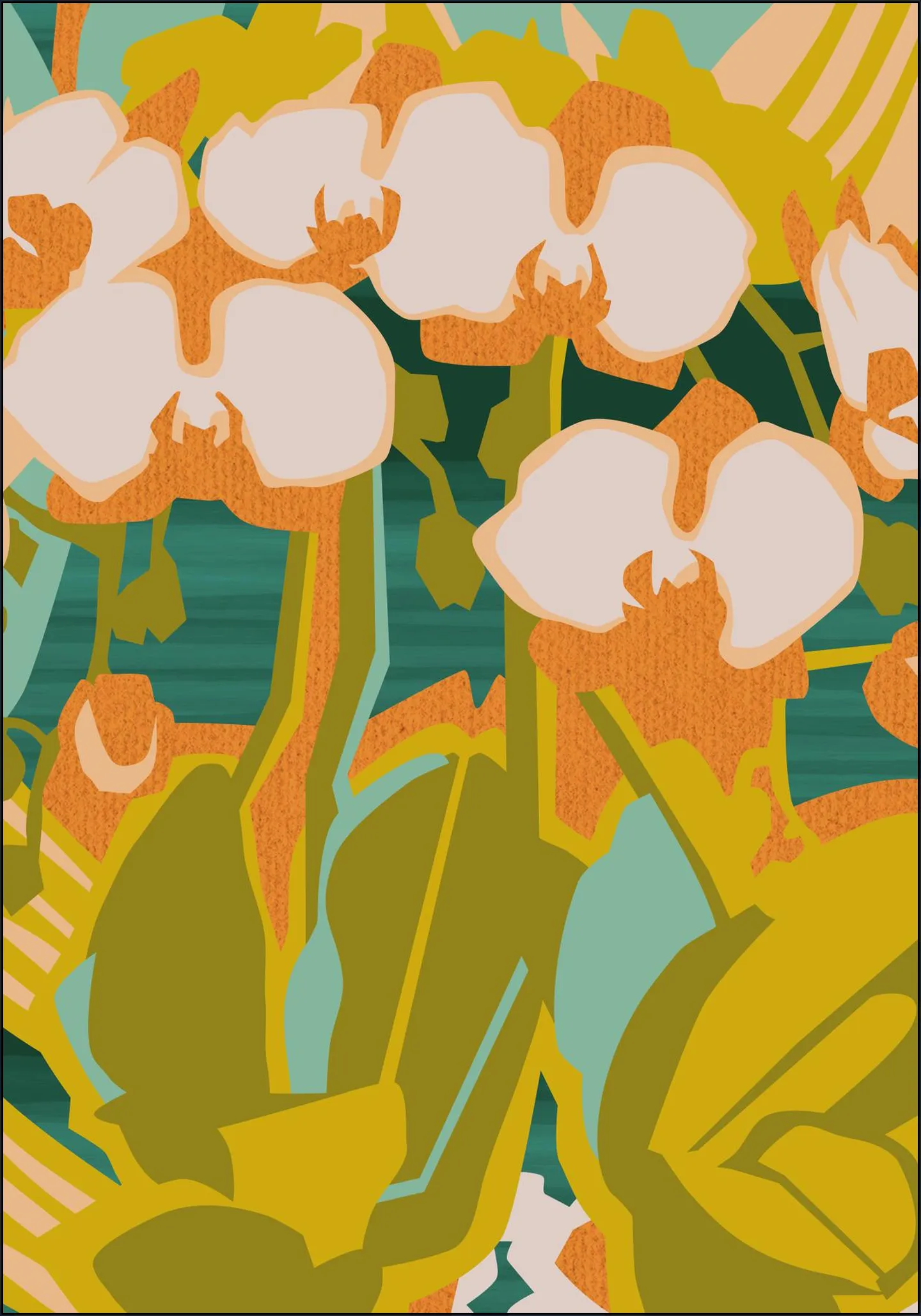 Orchids 