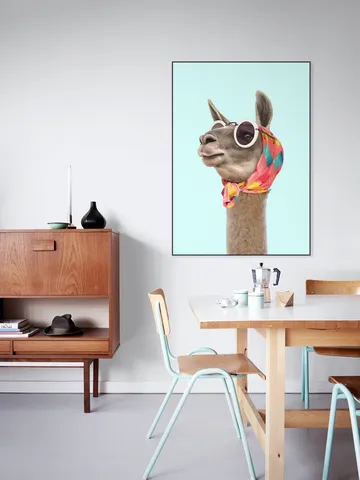 Fashion Lama
