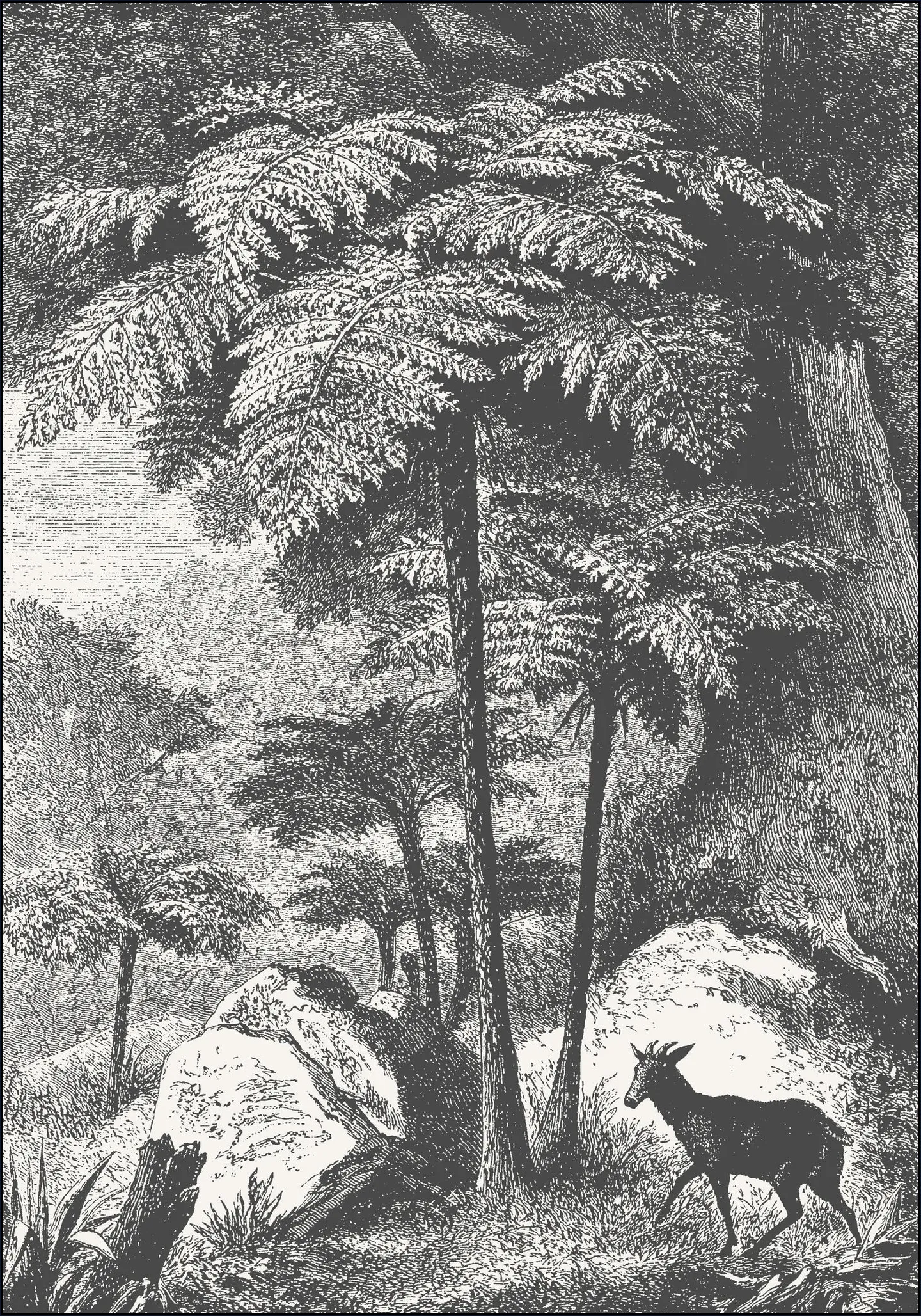Deer and Fern