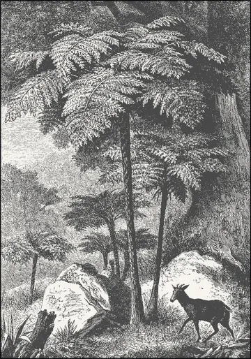 Deer and Fern