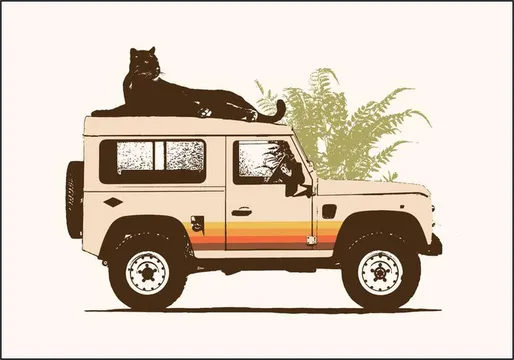 Black panther on car