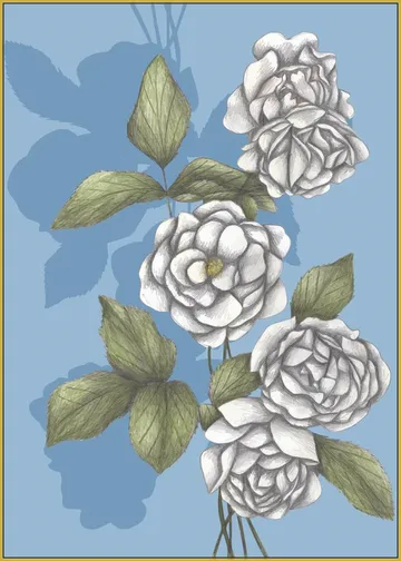 White Roses