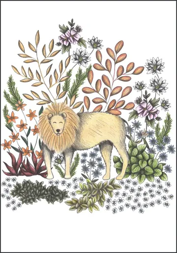 Safari Lion