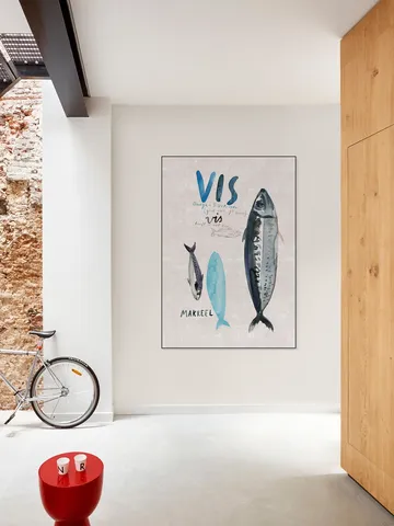 Vis