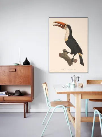 Le Toucan a Collier Jaune