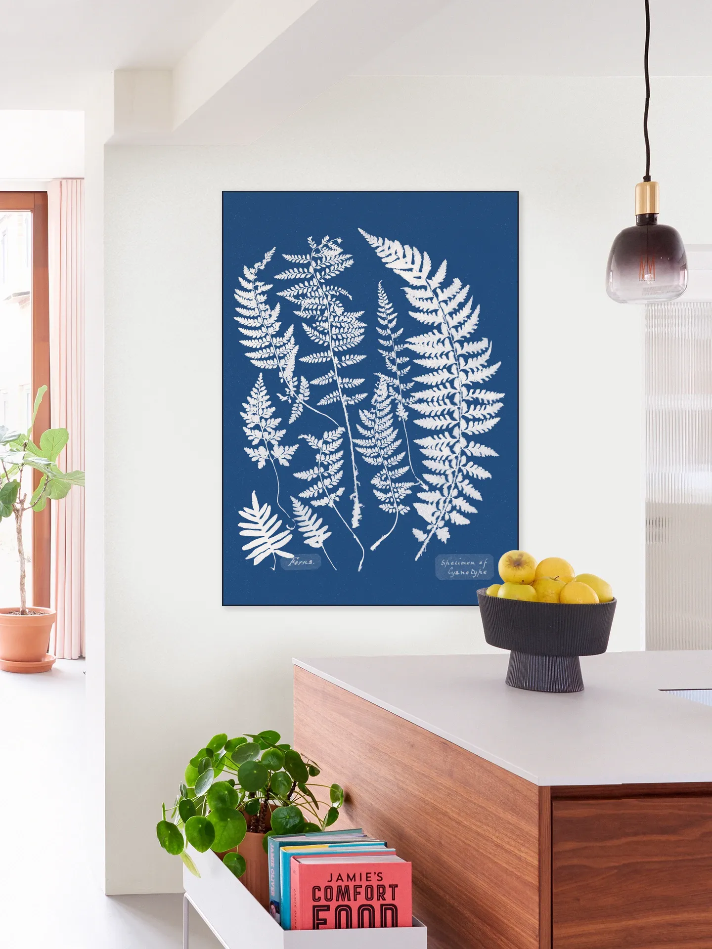 Specimen of Cyanotype - Ferns