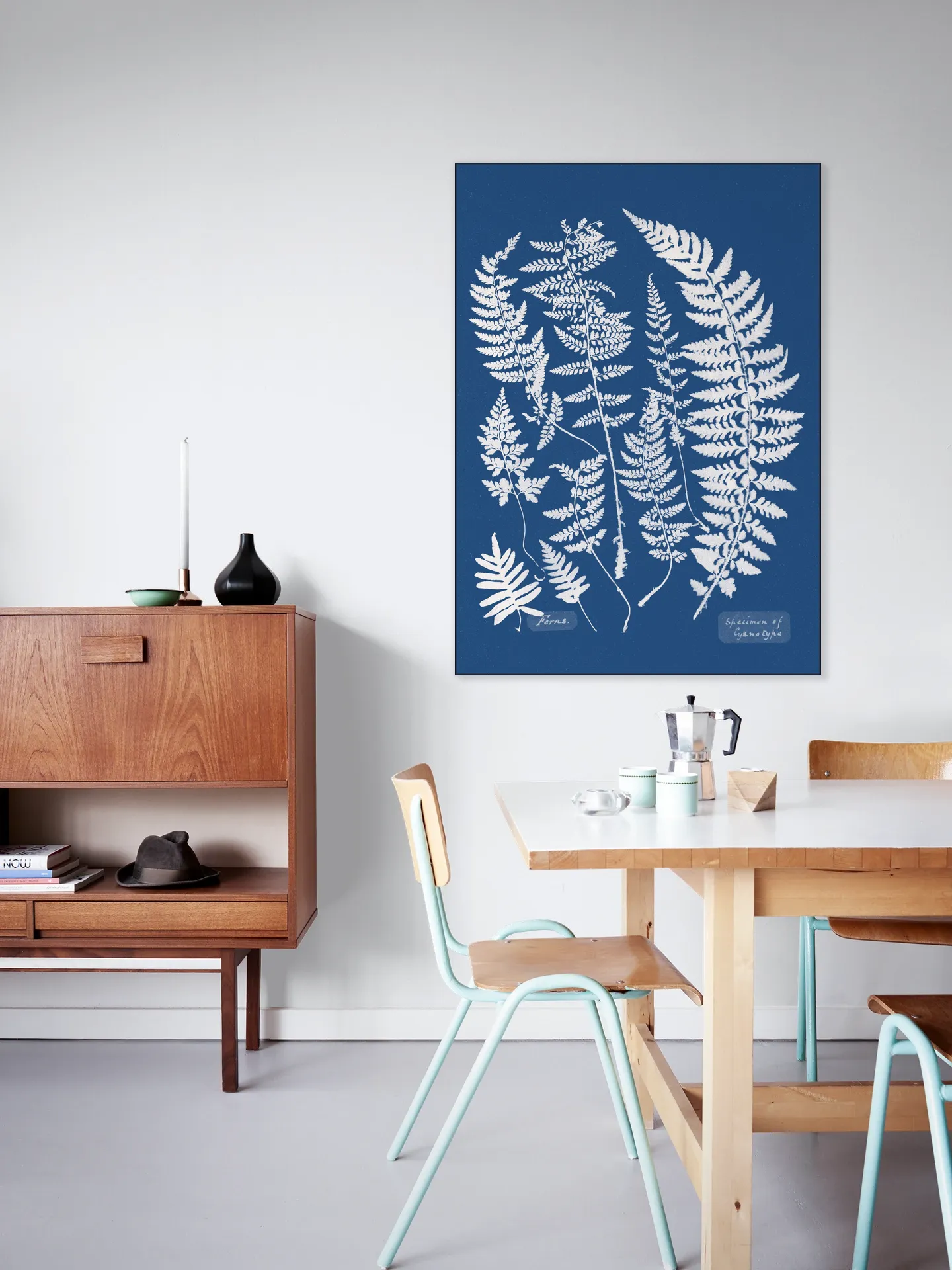 Specimen of Cyanotype - Ferns