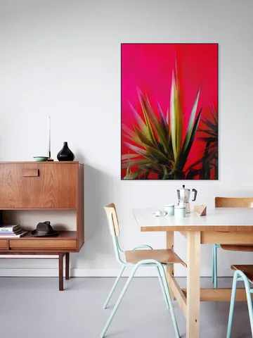 Magenta and Green
