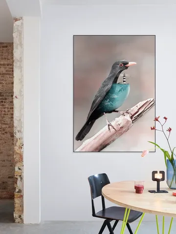 Aqua Birdo