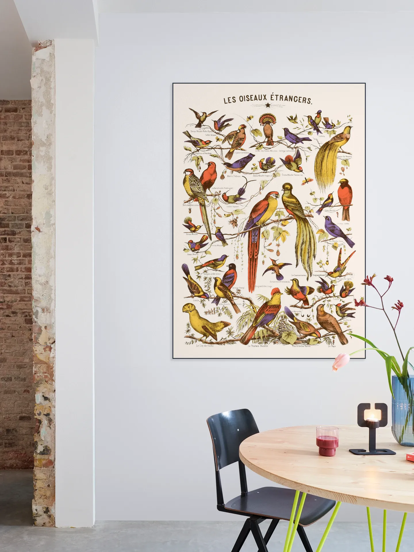 Les Oiseaux Etrangers