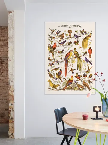 Les Oiseaux Etrangers