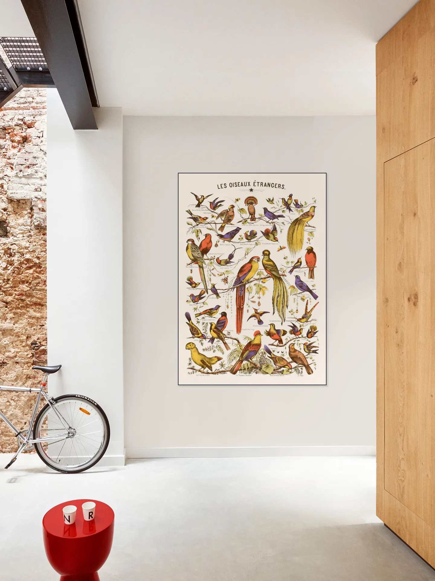Les Oiseaux Etrangers