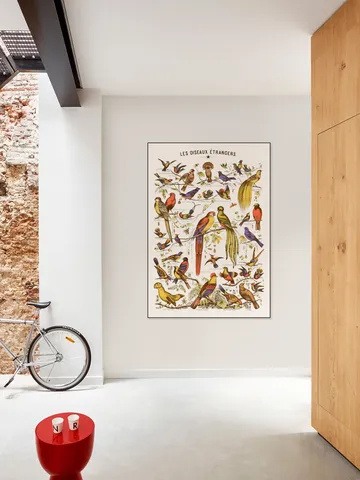 Les Oiseaux Etrangers