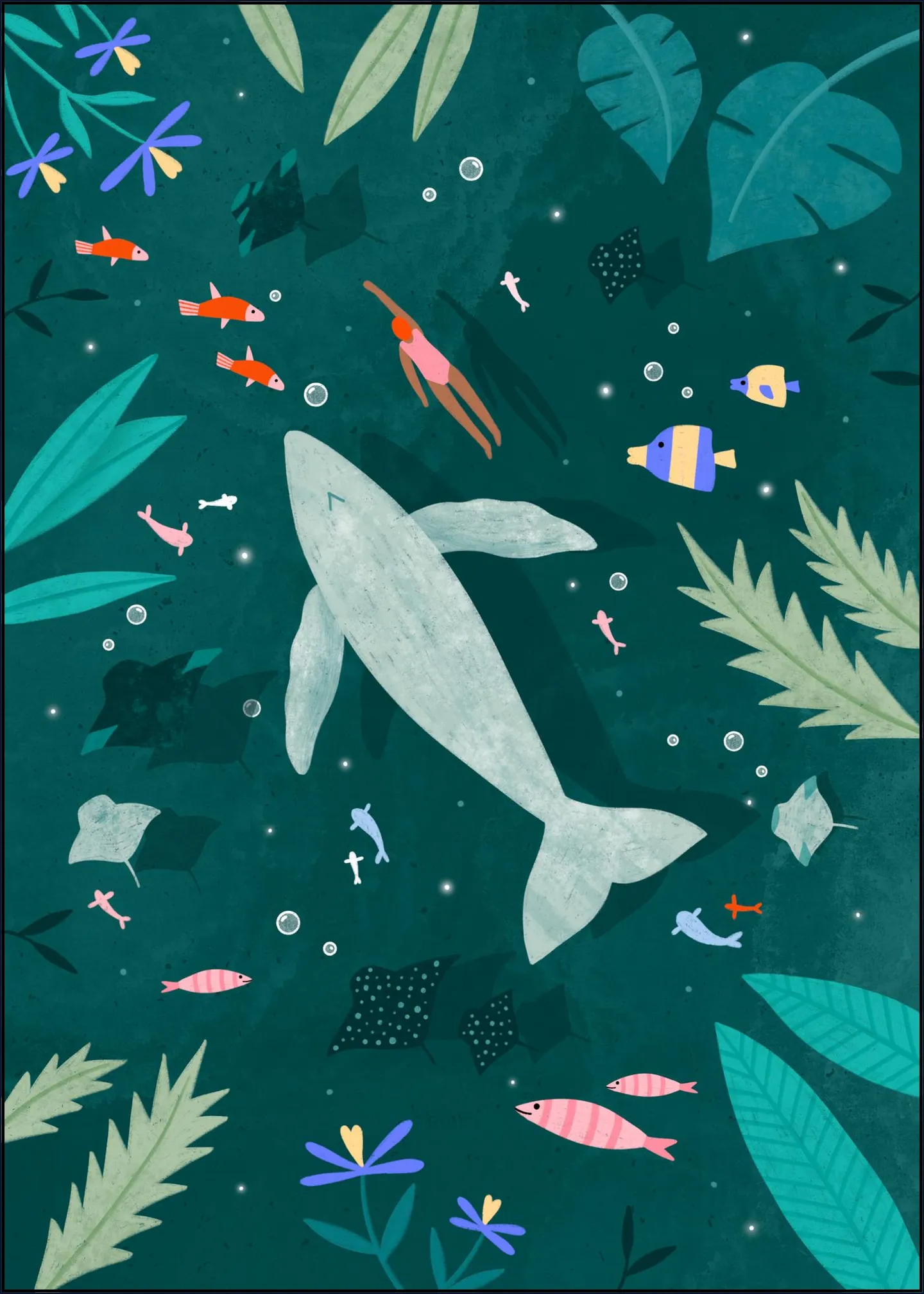 Swimming With A Whale 