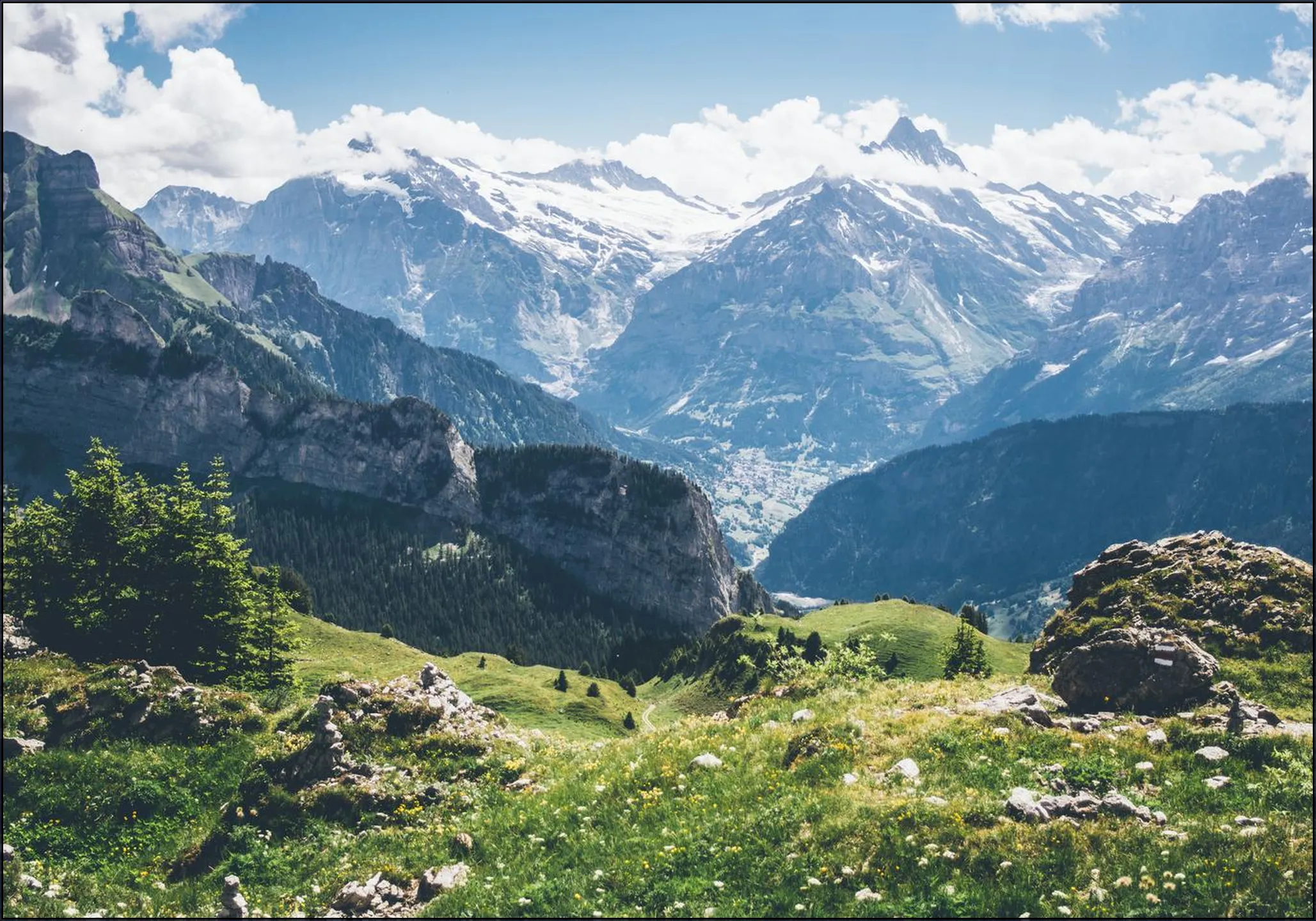 Swiss Summer Alps