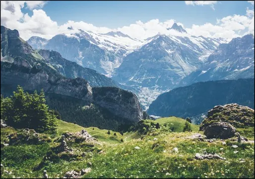 Swiss Summer Alps