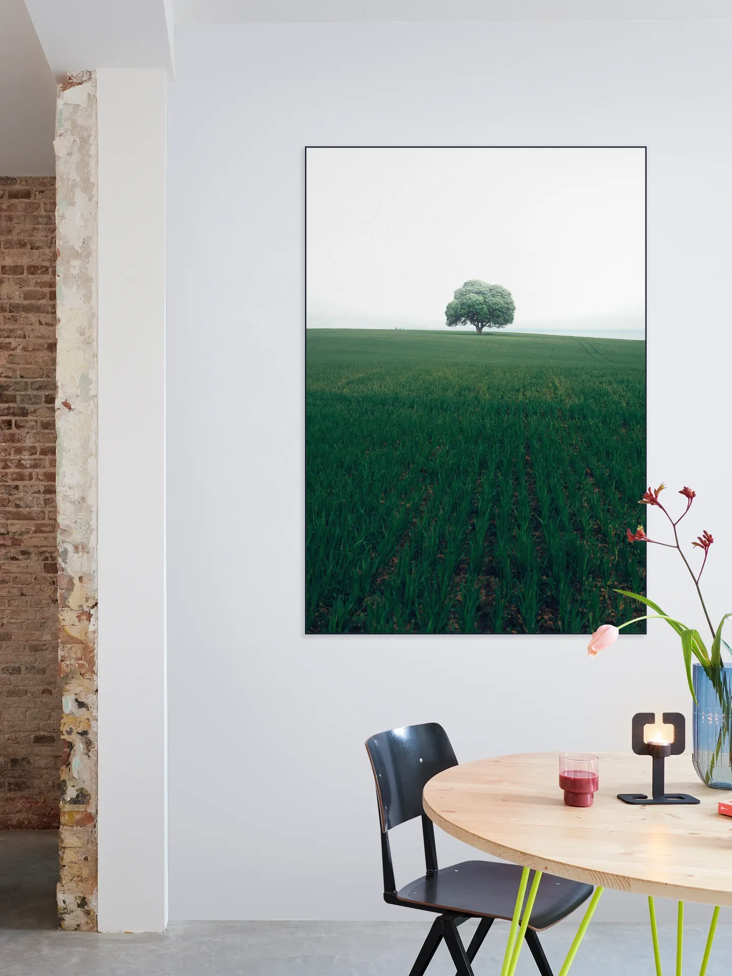 The lonely Oak Tree