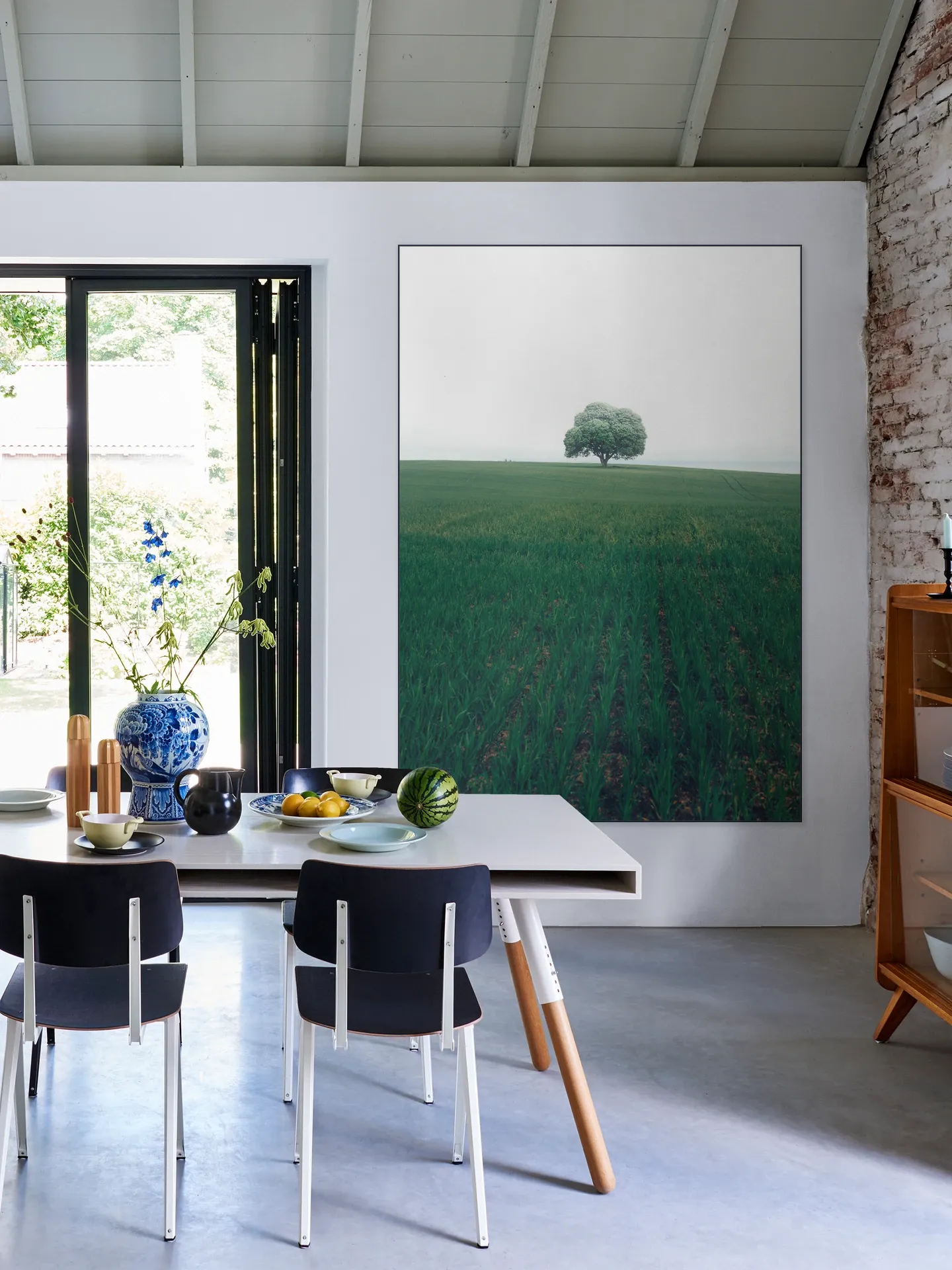 The lonely Oak Tree