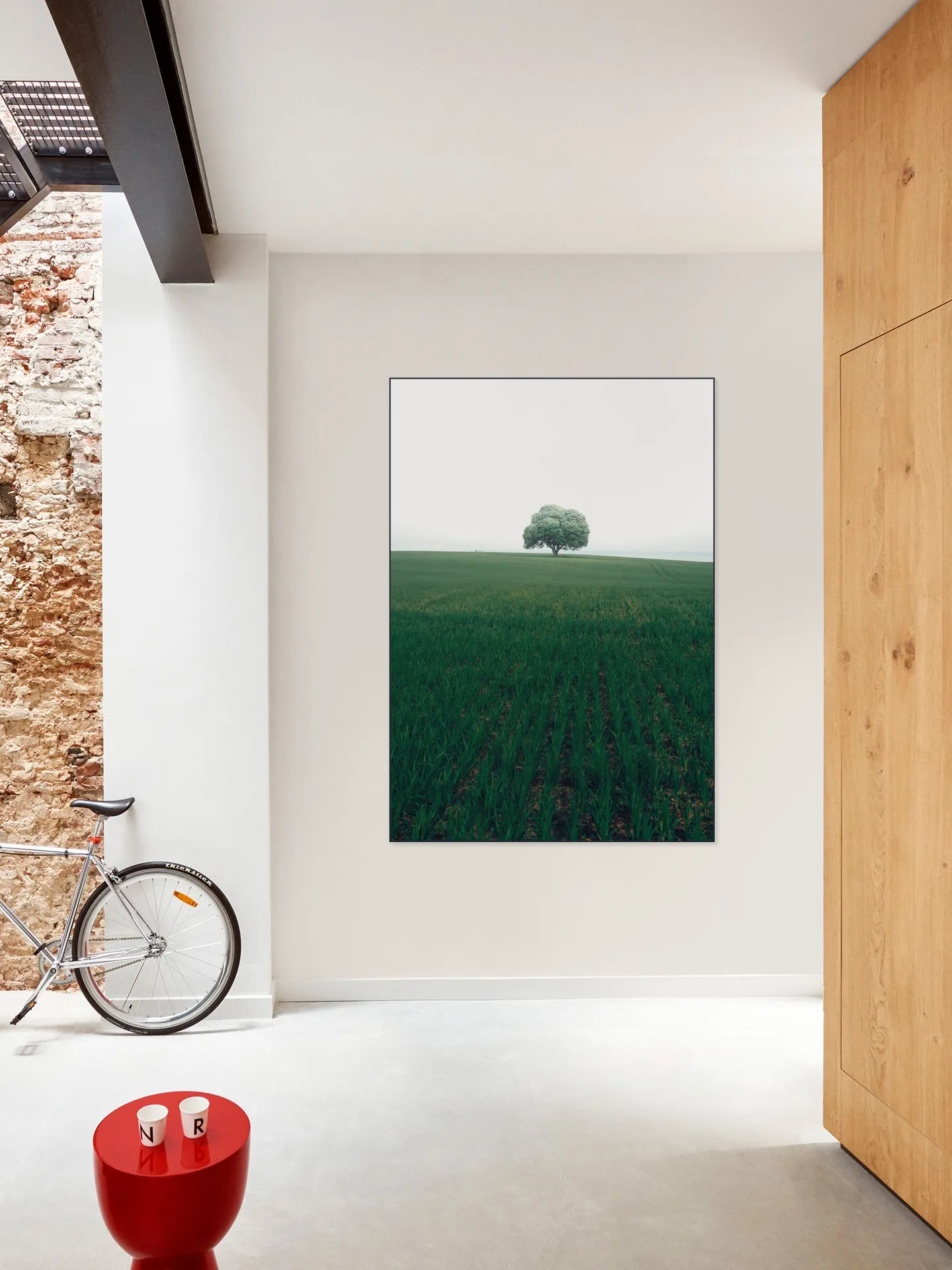 The lonely Oak Tree