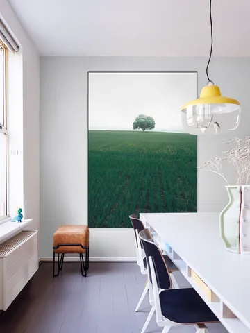 The lonely Oak Tree