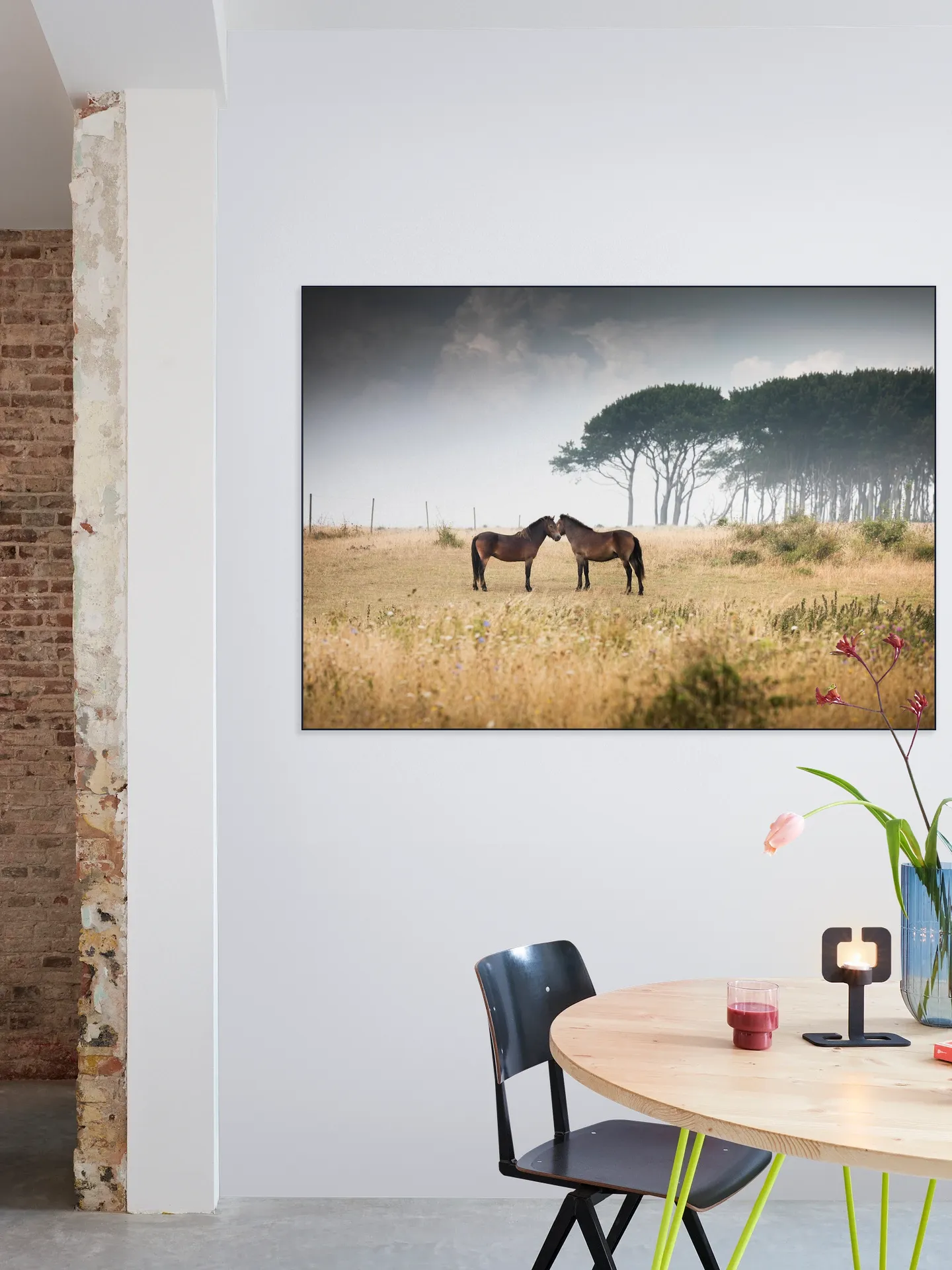 Vilde Heste Denmark Horses