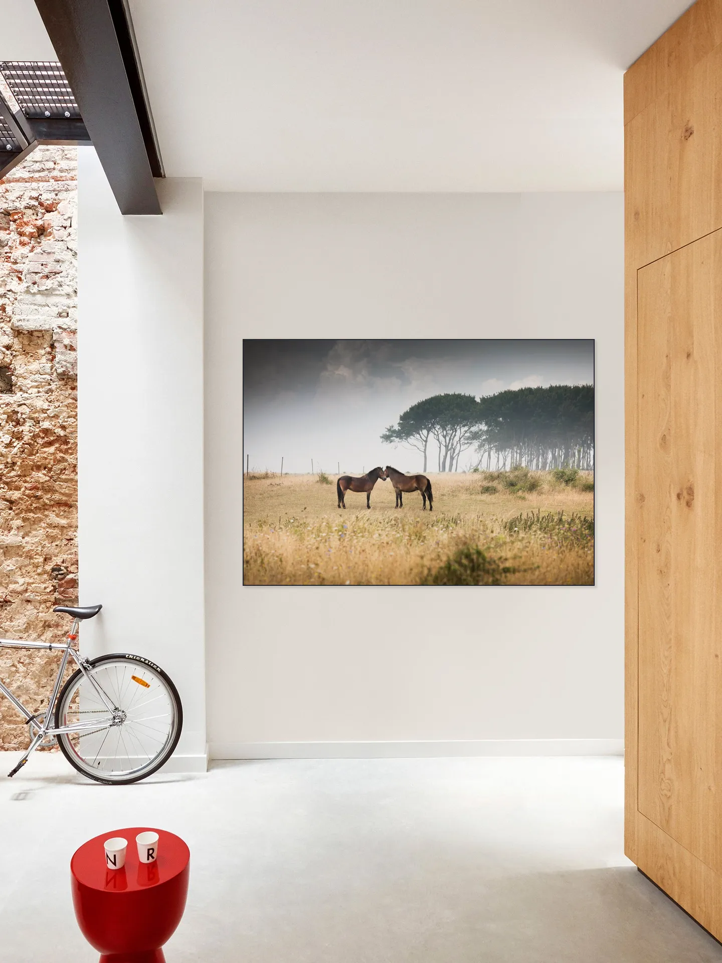 Vilde Heste Denmark Horses