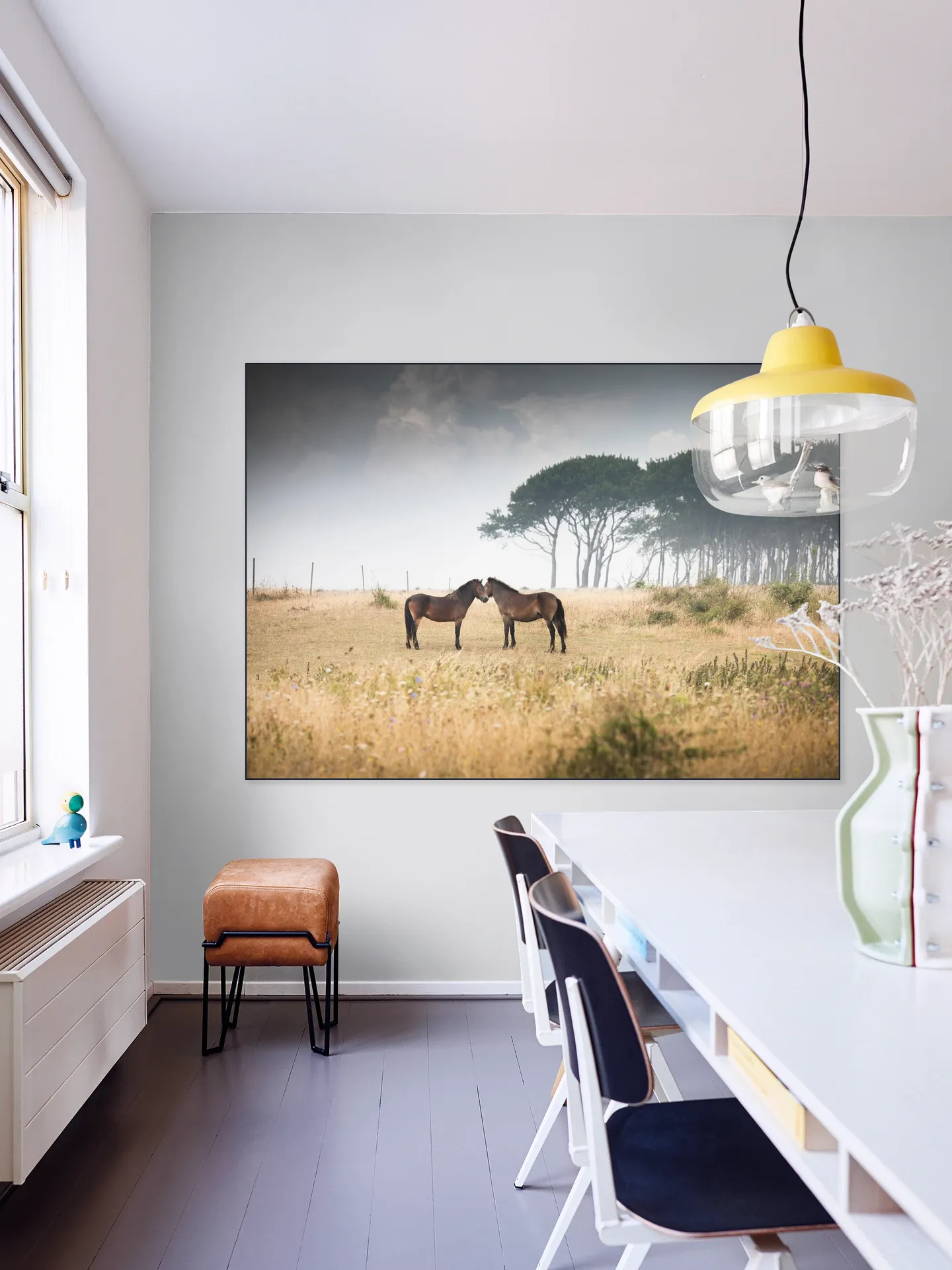 Vilde Heste Denmark Horses