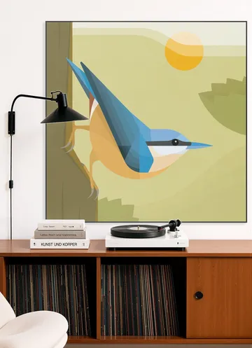 Nuthatch