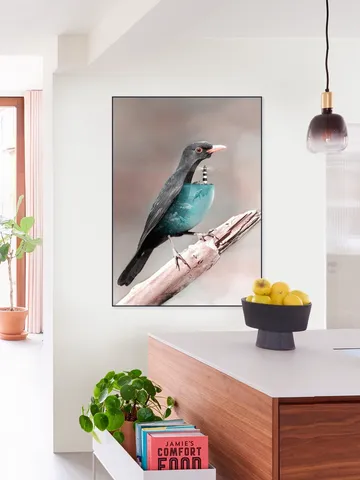 Aqua Birdo
