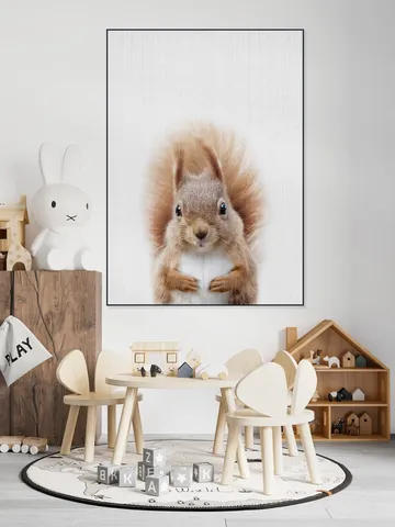Squirrel