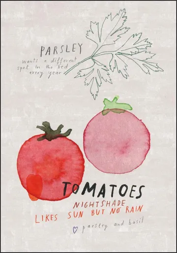 Tomatoes
