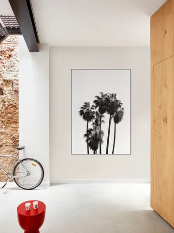 Palms in the Wind