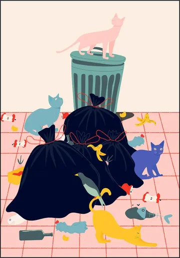 Cats