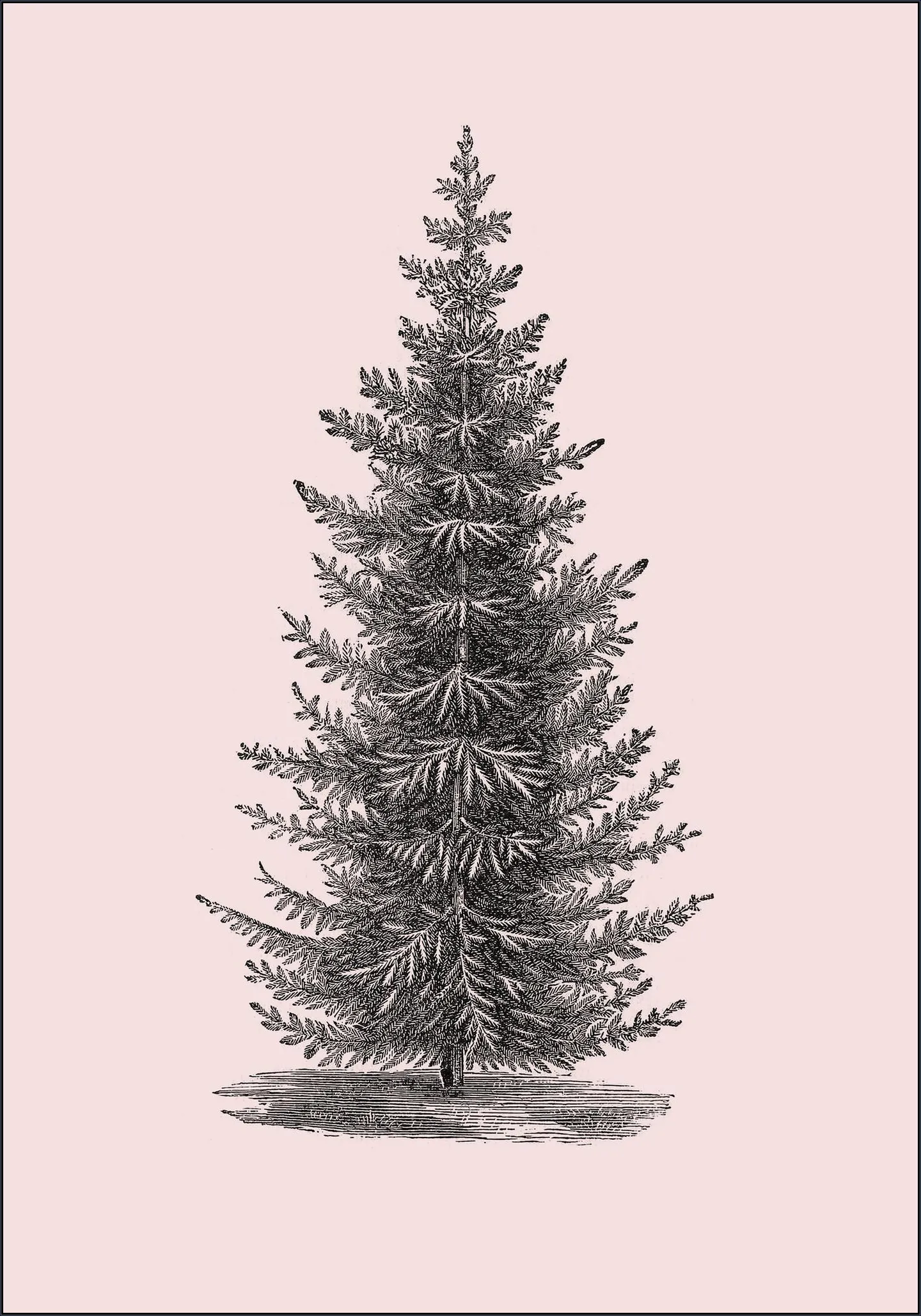 Forest Tree pink