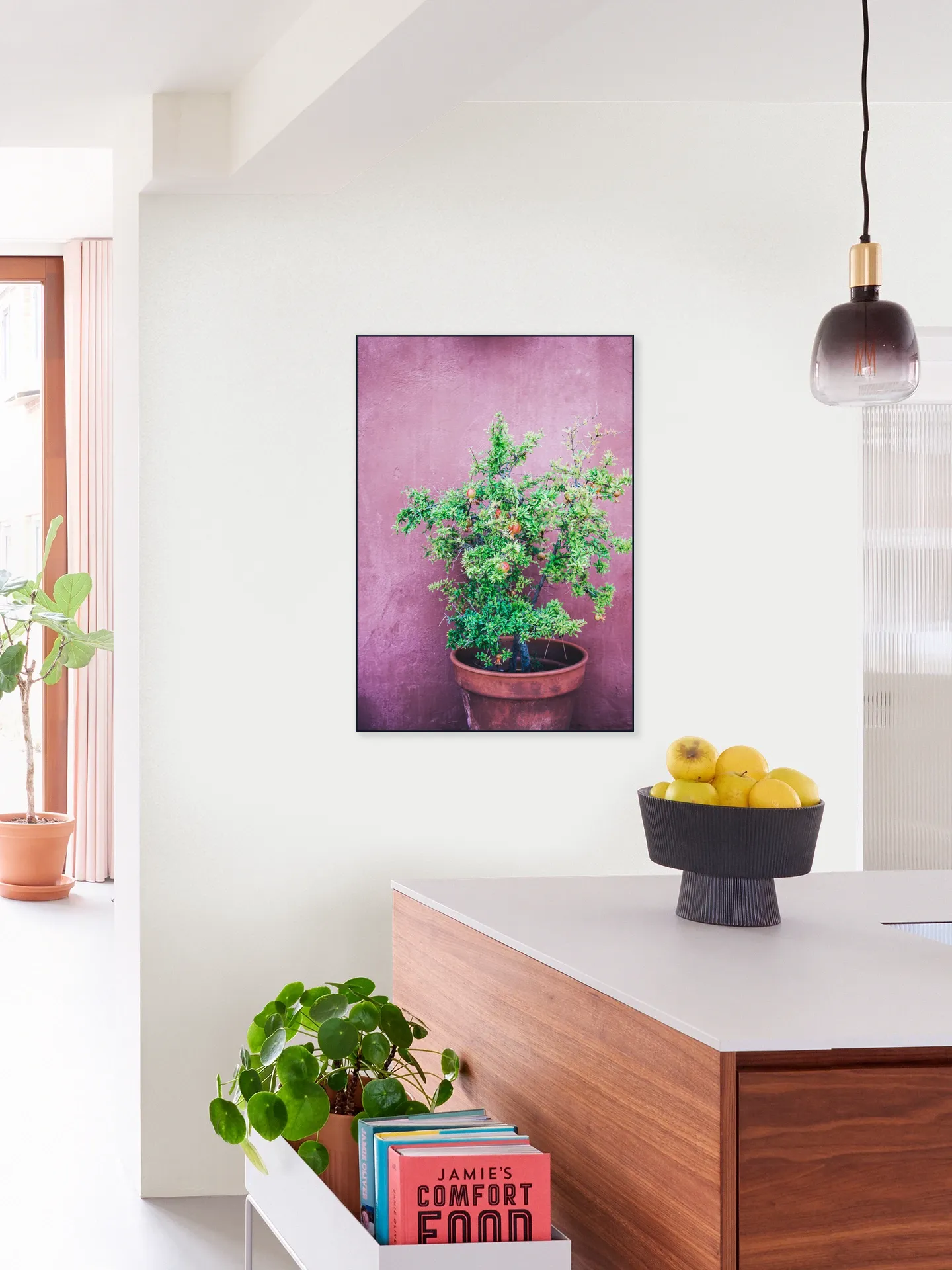 Purple Pomegranate