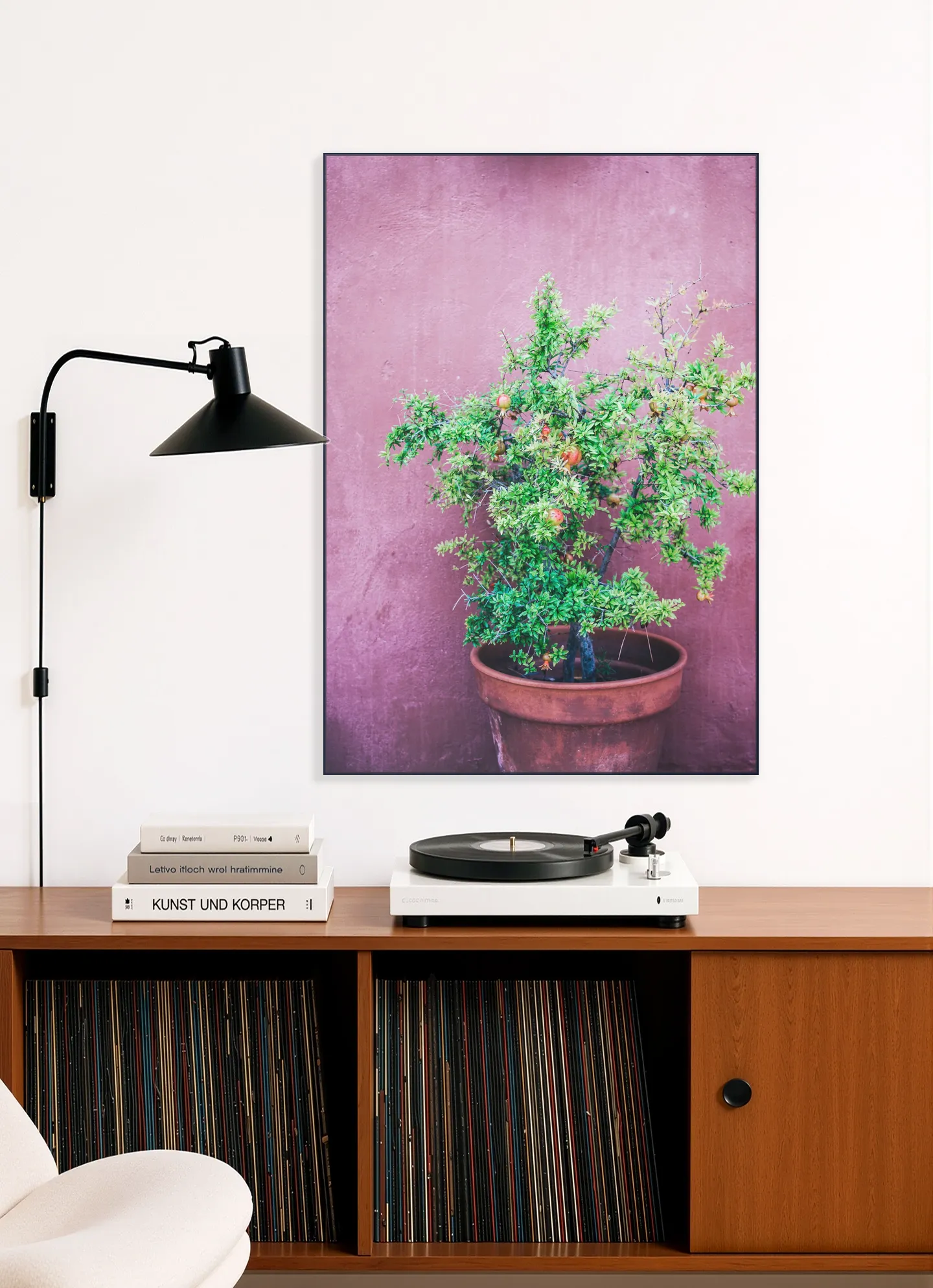 Purple Pomegranate