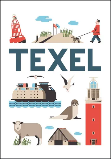 Texel