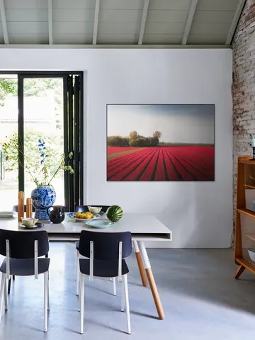 Red Fields of Spring