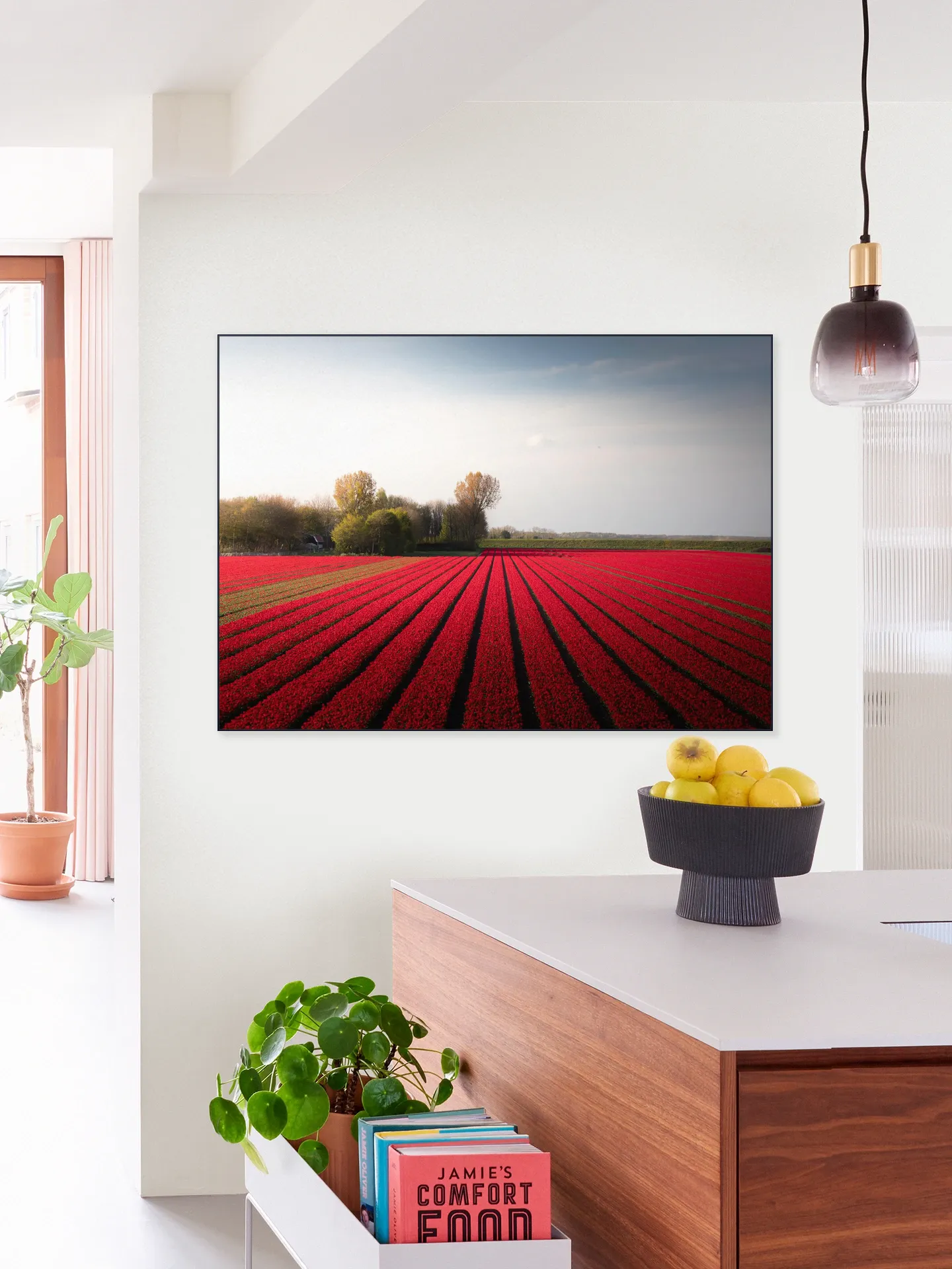 Red Fields of Spring