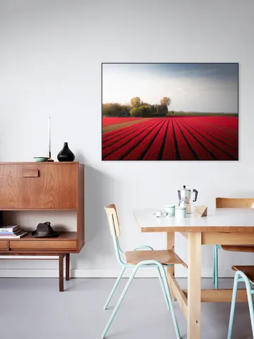 Red Fields of Spring