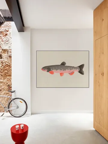 Still Fishy
