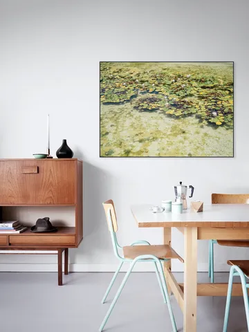 Green Water Lilies