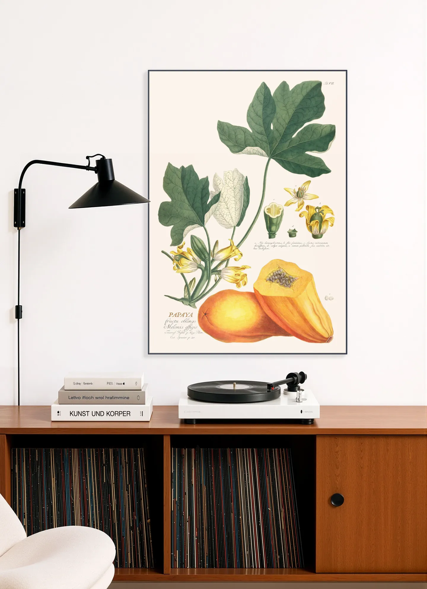 Papaya
